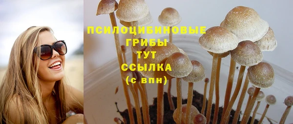 тгк Абинск