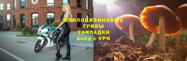 тгк Абинск