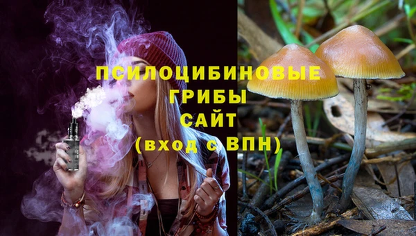 тгк Абинск
