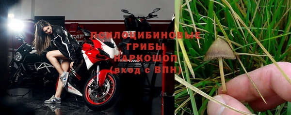 сатива Абаза
