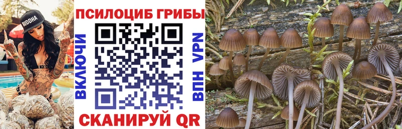 blacksprut как войти Емва Галлюциногенные грибы Magic Shrooms